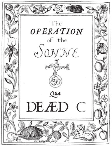 Dead C - Operation Of The Sonne - Vinyl Record