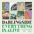 Darlingside - Everything Is Alive - Vinyl Record