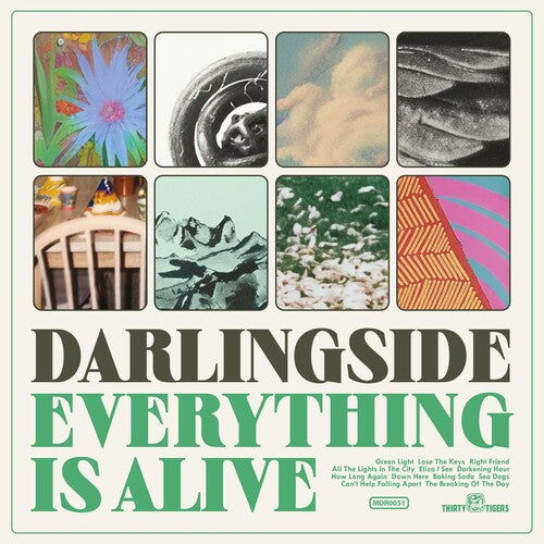 Darlingside - Everything Is Alive - Vinyl Record