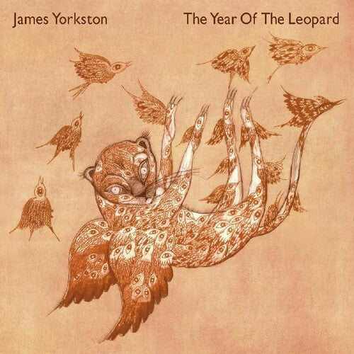 Yorkston,james - Year Of The Leopard - Vinyl Record