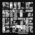 Bullshit Detector / Various - Bullshit Detector / Various - Vinyl Record