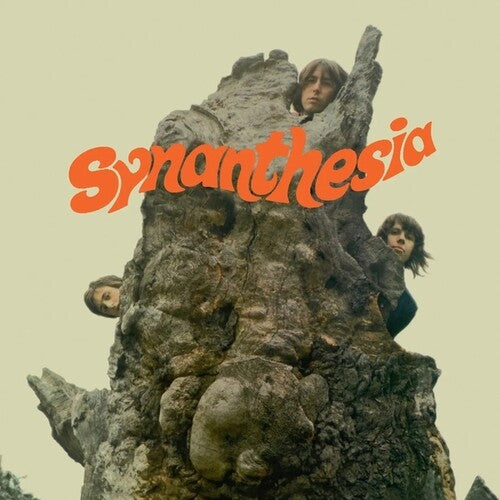 Synanthesia - Synanthesia - Vinyl Record