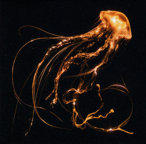Royal Blood - Back To The Water Below - Music CD