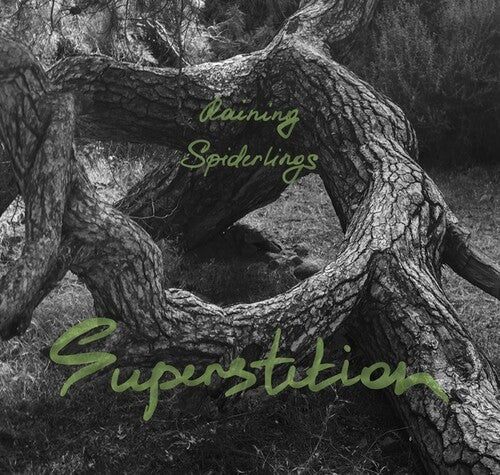 Raining Spiderlings - Superstition - Music CD