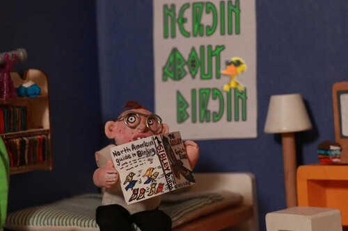 Avem - Nerdin About Birdin - Music CD