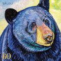 Saloli - Canyon - Vinyl Record