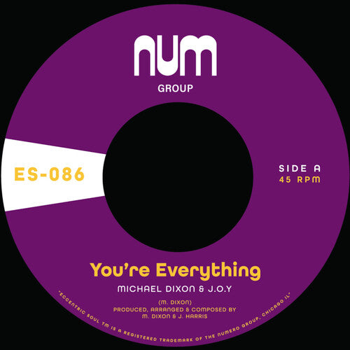 Dixon Michael A. & J.o.y. - You're Everything B/w You're All I Need - Vinyl Record