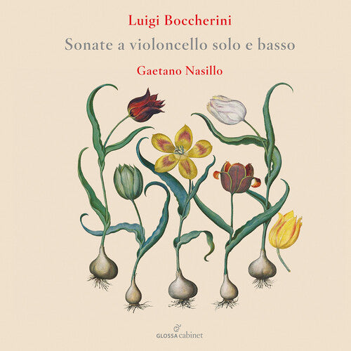 Boccherini / Nasillo - Flute Concertos - Music CD