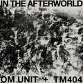 Om Unit / Tm404 - In The Afterworld - Vinyl Record