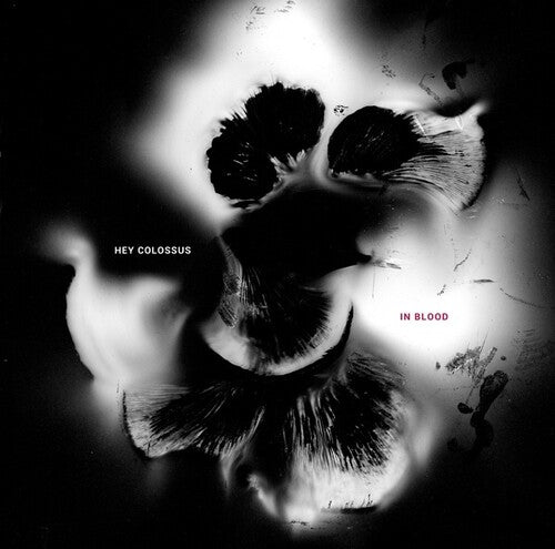 Hey Colossus - In Blood - Music CD