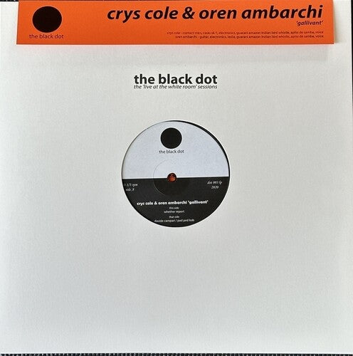 Ambarchi,oren / Cole,crys - Gallivant - Vinyl Record