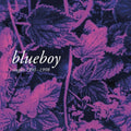 Blueboy - Singles 1991-1998 [LP]