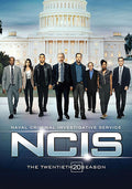 Ncis: The Twentieth Season - Ncis: The Twentieth Season - DVD