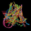 Wong,dustin - Perpetual Morphosis - Music CD