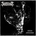 Servant - Aetas Ascensus - Music CD