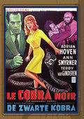 Black Cobra - Black Cobra - DVD
