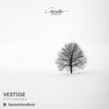 Behzadi / Catranis / Riot Ensemble - Vestige - Music CD