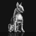 Riskee & The Ridicule - Platinum Statue - Music CD
