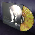 Excelsis: A Dark Noel / Various - Excelsis: A Dark Noel / Various - Vinyl Record