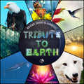 Shah,roger & Ambedo - Tribute To Earth - Music CD