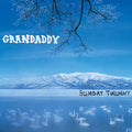 Grandaddy - Sumday: Twunny - Vinyl Record