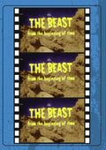 Beast From The Beginning Of Time - Beast From The Beginning Of Time - DVD