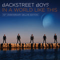 Backstreet Boys - In A World Like This (10th Anniversary) - Vinyl Record