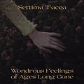 Tacca,settima - Wondrous Feelings Of Ages Long Gone - Vinyl Record