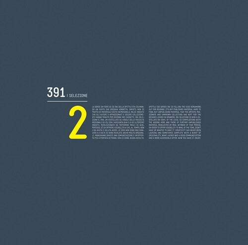 391 Selezione 2 / Various - 391 Selezione 2 / Various - Vinyl Record