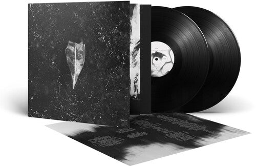 Bees Made Honey In The Vein Tree - Aion - Vinyl Record