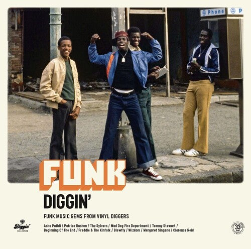 Funk Diggin / Various - Funk Diggin / Various - Vinyl Record