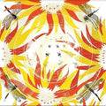 Deplume,alabaster - Come With Fierce Grace - Music CD