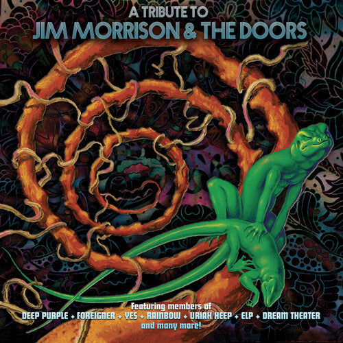Tribute To Jim Morrison & The Doors / Various - Tribute To Jim Morrison & The Doors / Various - Vinyl Record