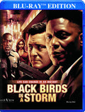 Black Birds In A Storm - Black Birds In A Storm - Blu-ray