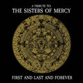 First & Last & Forever / Various - First & Last & Forever / Various - Music CD