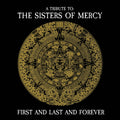First & Last & Forever / Various [Reissue]