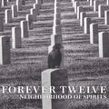 Forever Twelve - Neighborhood Of Spirits - Music CD