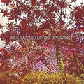 Mazzarella,nick - Ultraviolet - Music CD