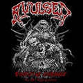 Avulsed - Vomiting Corpses: The 90s Regurgitations - Music CD
