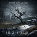 Buried In The Hail [LP] Vinyl Record