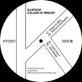 Dj Steaw - Colour Of Mind - Vinyl Record