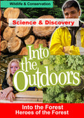 Into The Forest - Heroes Of The Forest - Into The Forest - Heroes Of The Forest - DVD