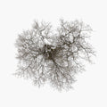 Tree [LP] Vinyl Record