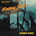 Wailing Soul - Stormy Night - Vinyl Record