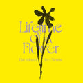 Ishibashi,eiko / O'rourke,jim - Lifetime Of A Flower - Vinyl Record
