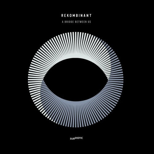 Rekombinant - Bridge Between Us - Vinyl Record