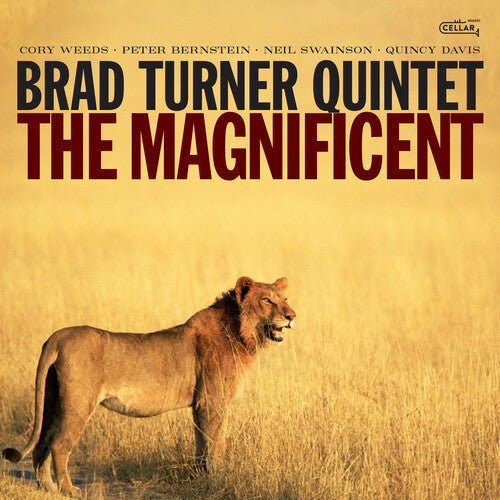 Turner,brad - Magnificent - Music CD