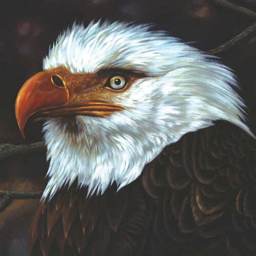 Mogwai - Hawk Is Howling - Vinyl Record