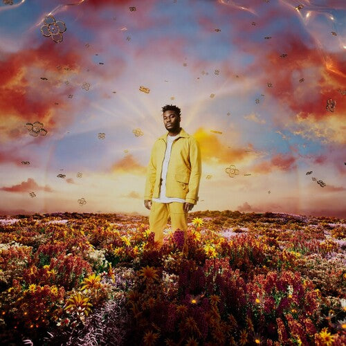Amadi,nonso - When It Blooms - Vinyl Record
