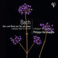 Bach,j.s. / Herreweghe - Erz Und Mund Und Tat Und Leben - Cantatas, Bwv - Music CD